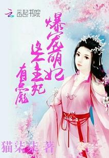 这个王妃有点萌,王妃的甜蜜逆袭之旅